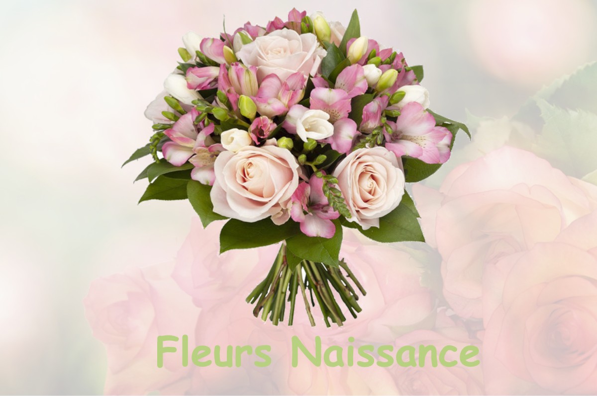 fleurs naissance SAINT-PANDELON